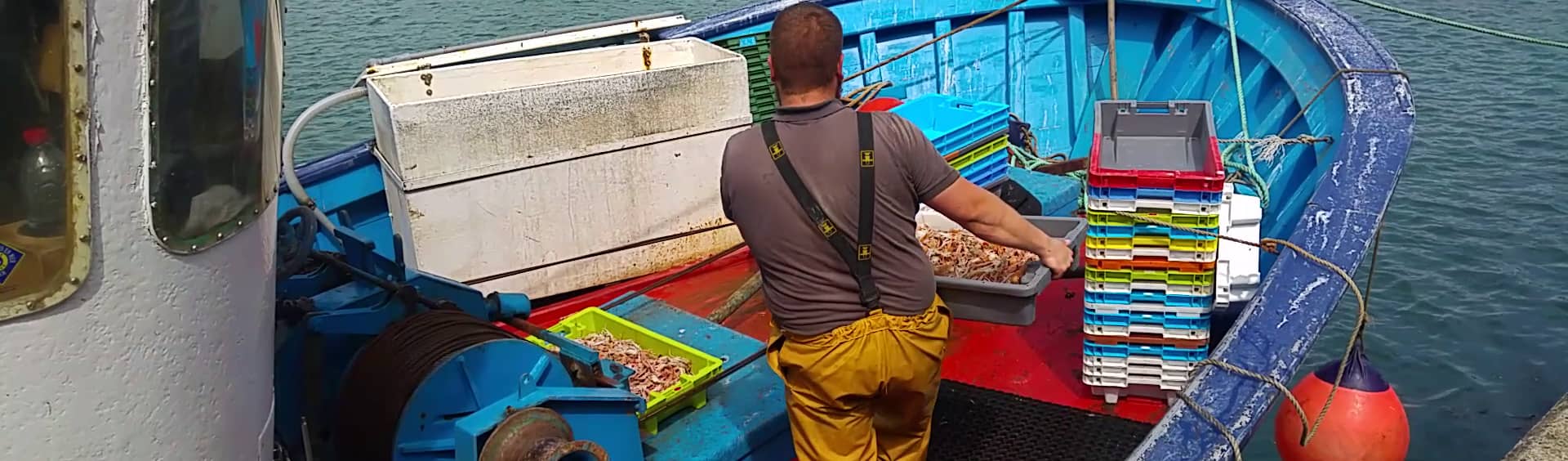 vente de langoustines au port du belon